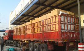 洛阳到成都货运-现场